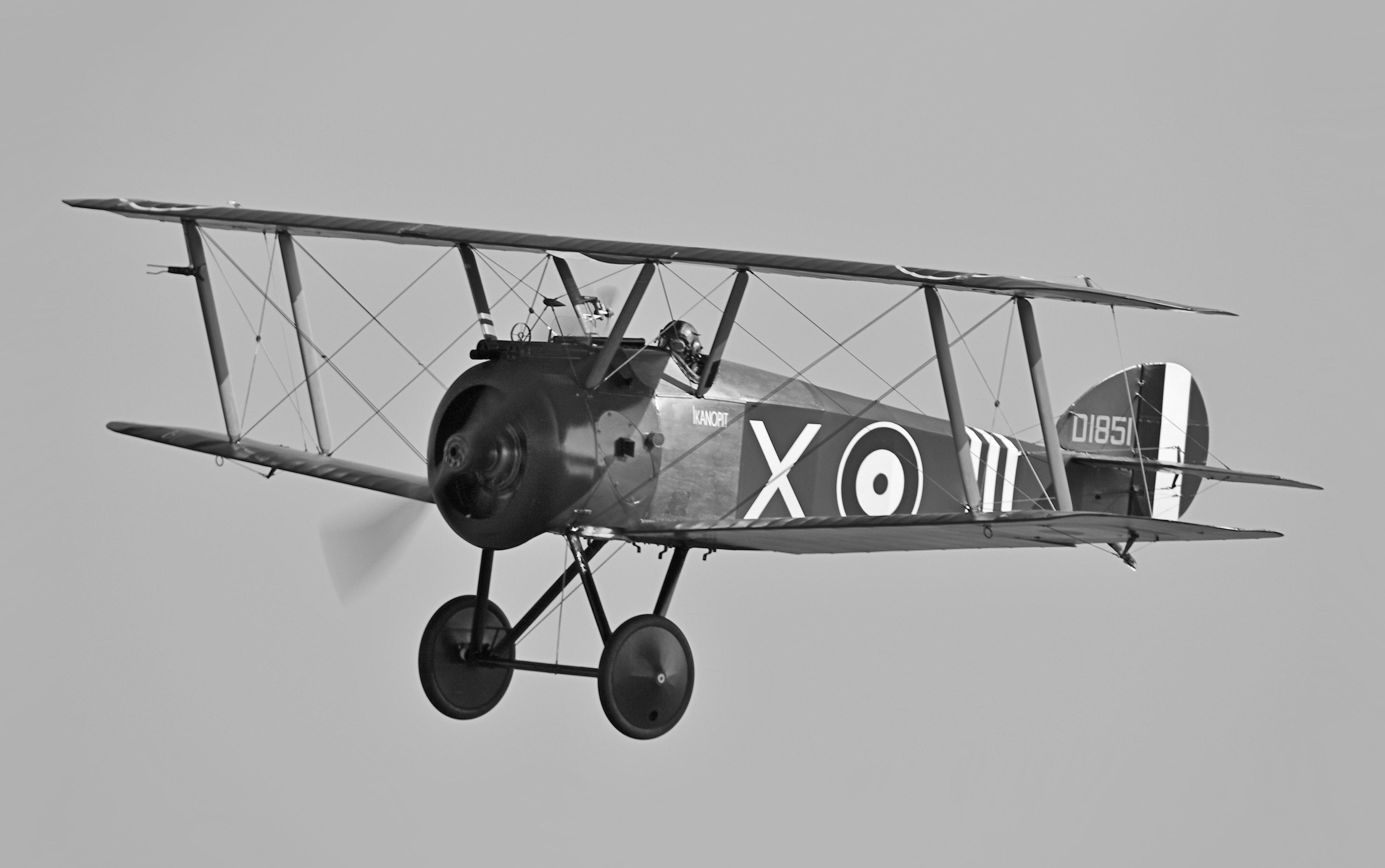 Blohm &amp; Voss Bv 138